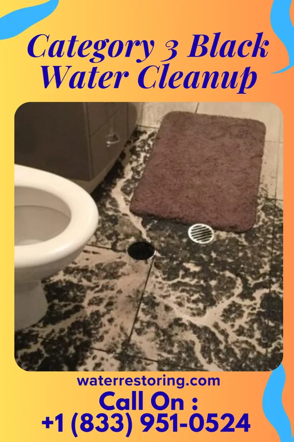 Category 3 Black Water Cleanup in Linglestown, PA