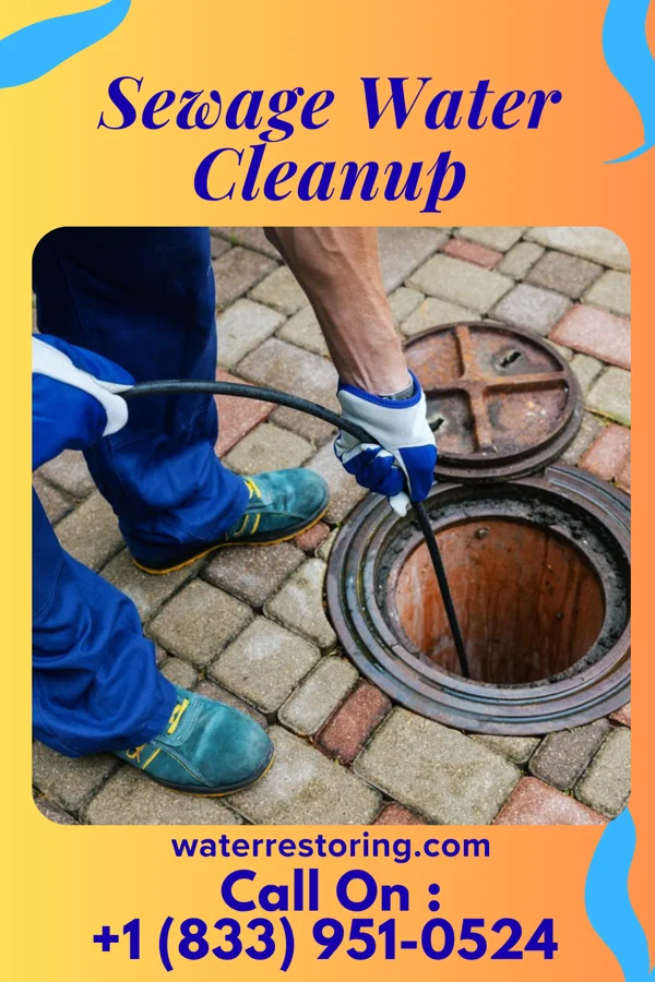 Sewage Water Cleanup in Linglestown, PA
